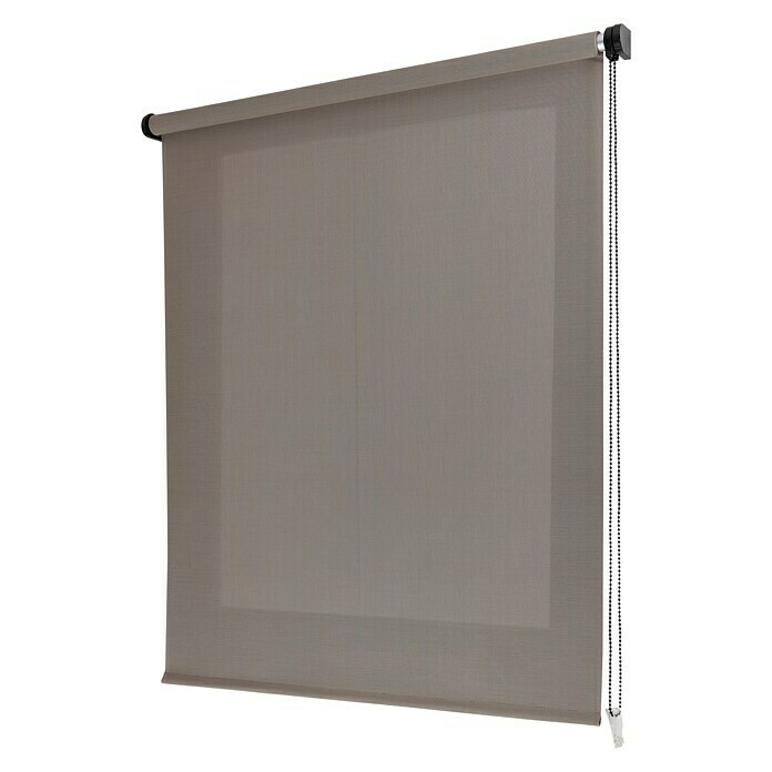 Estor enrollable Roll-up Screen (An x Al: 160 x 250 cm, Cappuccino, Traslúcido)