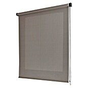 Estor enrollable Roll-up Screen (An x Al: 120 x 250 cm, Cappuccino, Traslúcido)