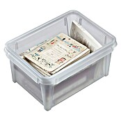 SmartStore Caja de almacenaje Dry (30 x 40 x 19 cm, Plástico, Transparente)
