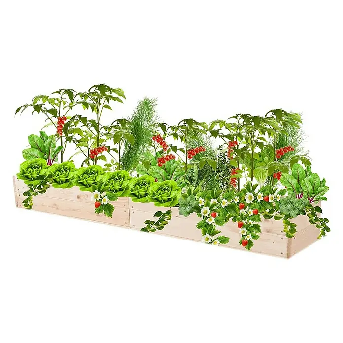 Proregal Hochbeet Growline Holz - 30 x 203 x 18 cm, Holz, Natur