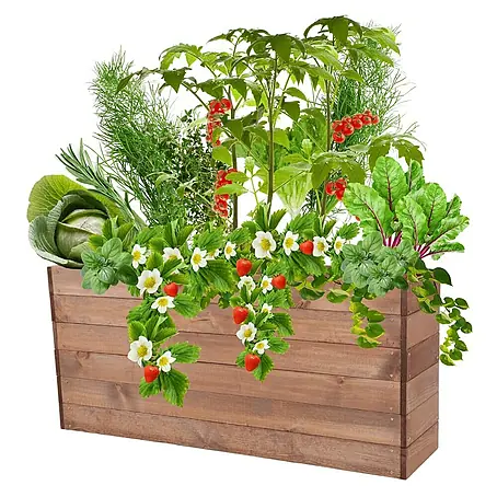 Proregal  Hochbeet Growline Holz