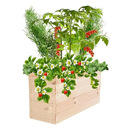 Proregal  Hochbeet Growline Holz
