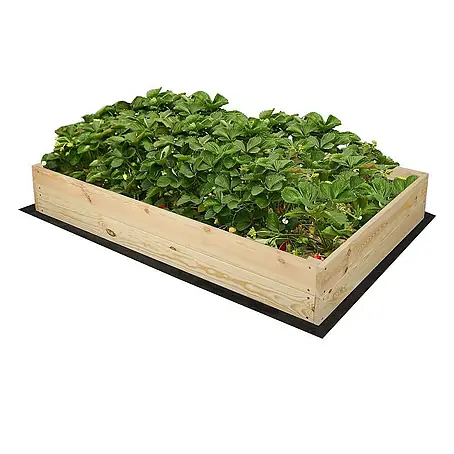 Proregal  Hochbeet Growline Holz