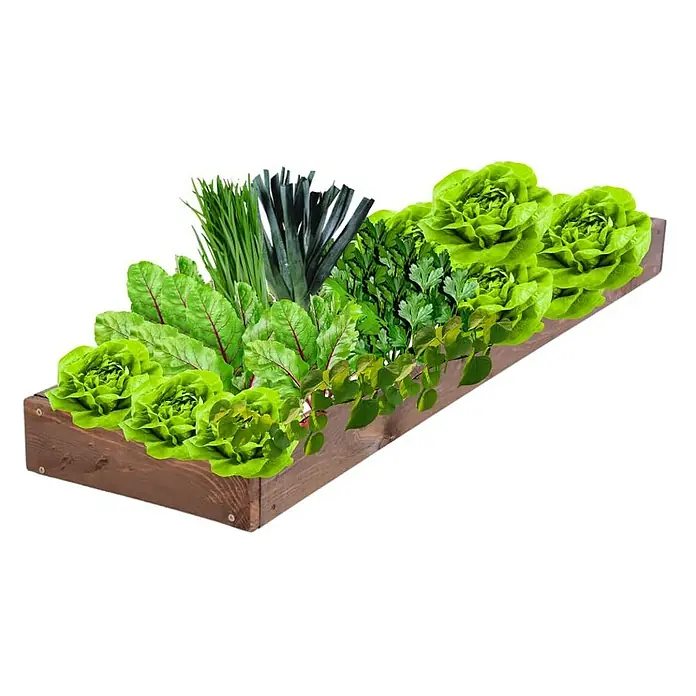 Proregal Hochbeet GardenStep Holz - 100 x 30 x 9 cm, Holz, Braun