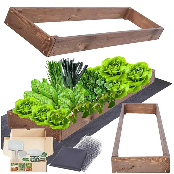 Proregal Hochbeet GardenStep Holz - 100 x 30 x 9 cm, Holz, Braun
