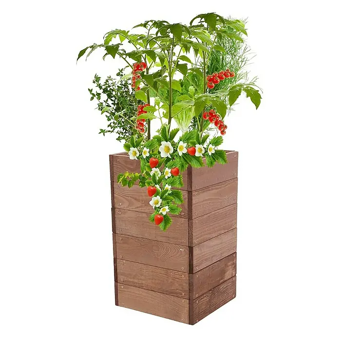 Proregal Hochbeet Growline Holz - Holz, Braun