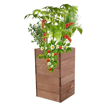 Proregal  Hochbeet Growline Holz