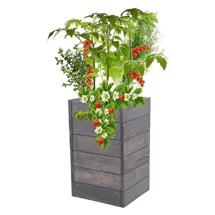 Proregal Hochbeet Growline Holz - 30 x 33 x 54 cm, Holz, Grau