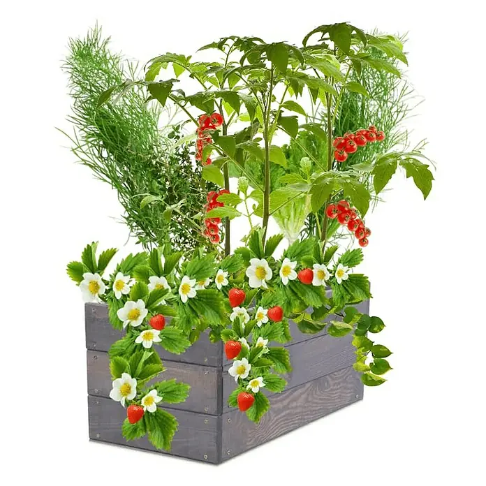 Proregal Hochbeet Growline Holz - 30 x 93 x 27 cm, Holz, Grau