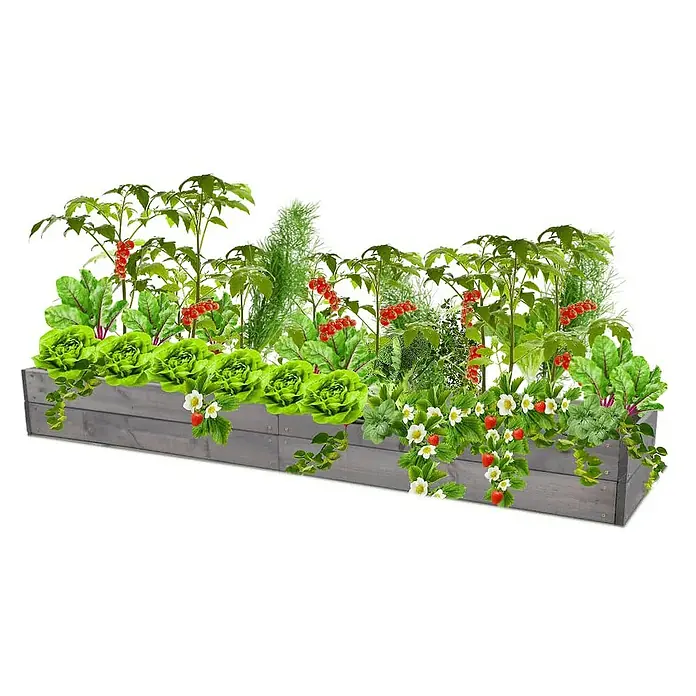 Proregal Hochbeet Growline Holz - 30 x 203 x 18 cm, Holz, Grau