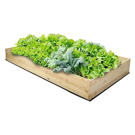 Proregal  Hochbeet Growline Holz