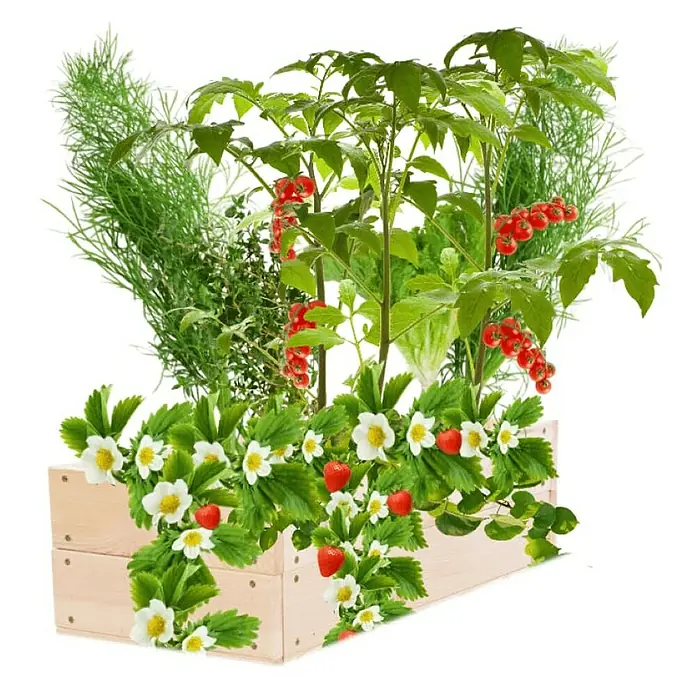 Proregal Hochbeet Growline Holz - 30 x 83 x 18 cm, Holz, Natur
