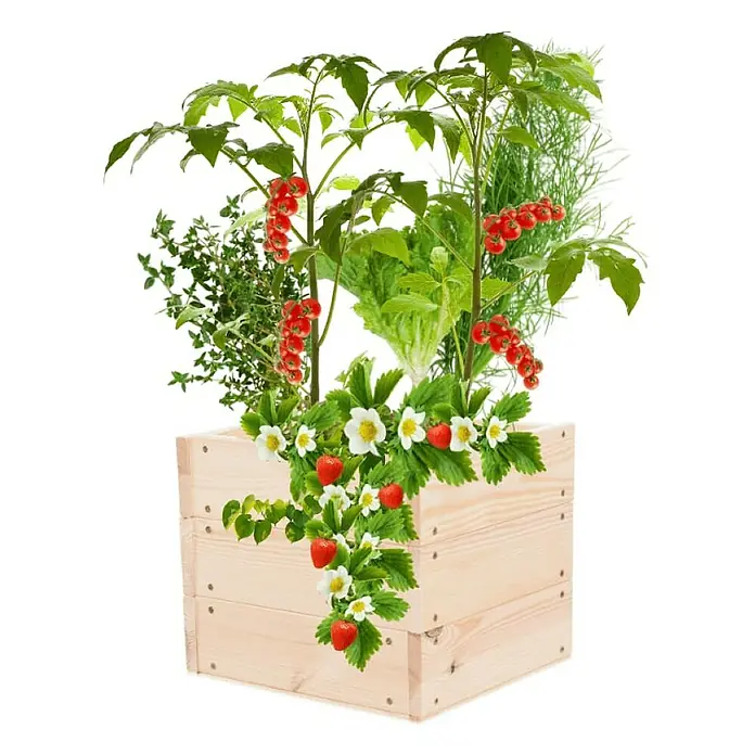 Proregal Hochbeet Growline Holz - 30 x 33 x 27 cm, Holz, Natur
