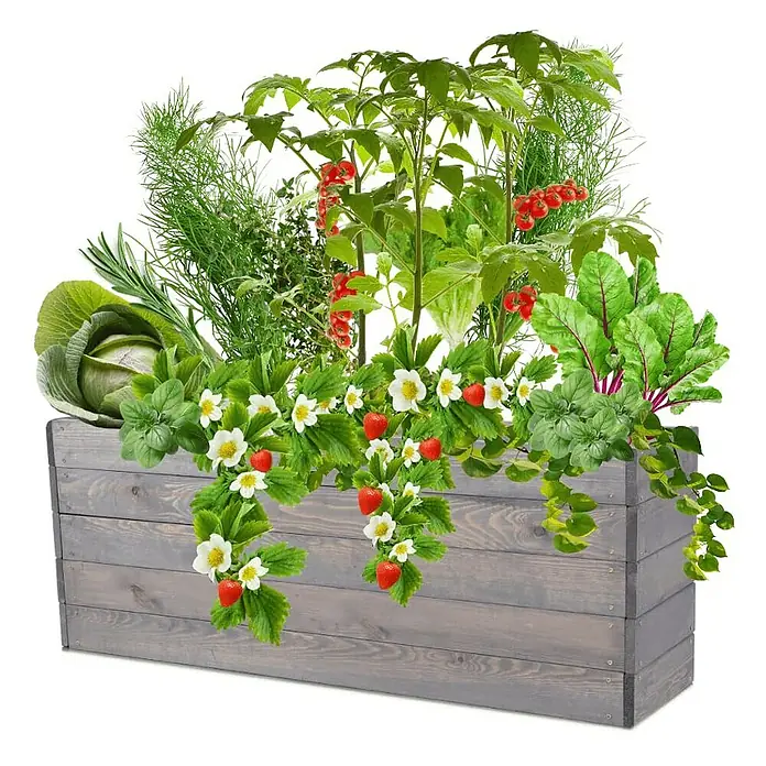 Proregal Hochbeet Growline Holz - 30 x 120 x 45 cm, Holz, Grau