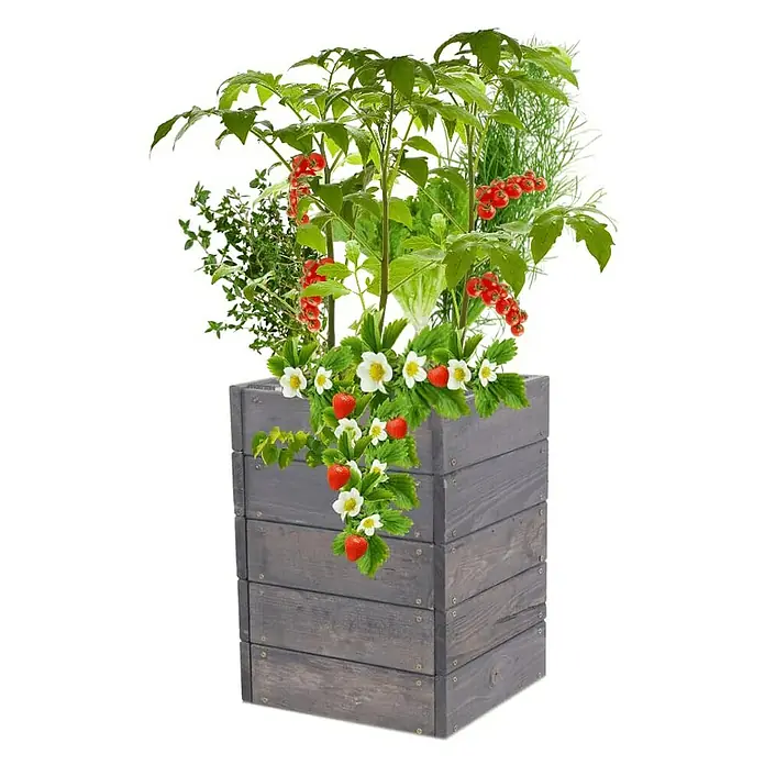 Proregal Hochbeet Growline Holz - Holz, Grau