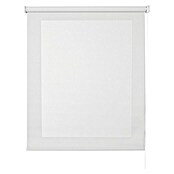 Estor enrollable Roll-up Screen (An x Al: 140 x 250 cm, Blanco, Traslúcido)