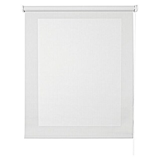 Estor enrollable Roll-up Screen (An x Al: 80 x 250 cm, Blanco)