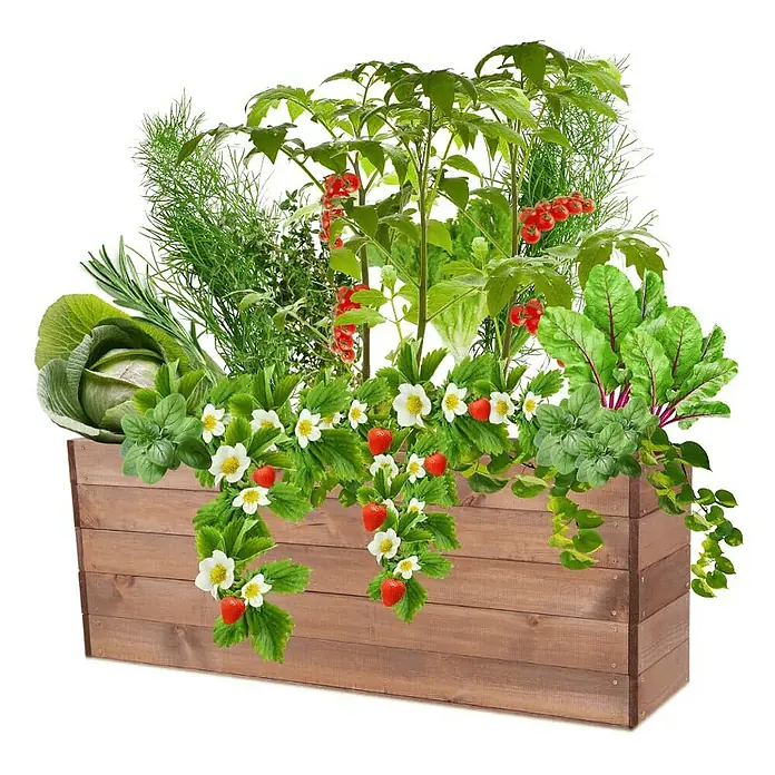 Proregal Hochbeet Growline Holz - 30 x 120 x 45 cm, Holz, Braun