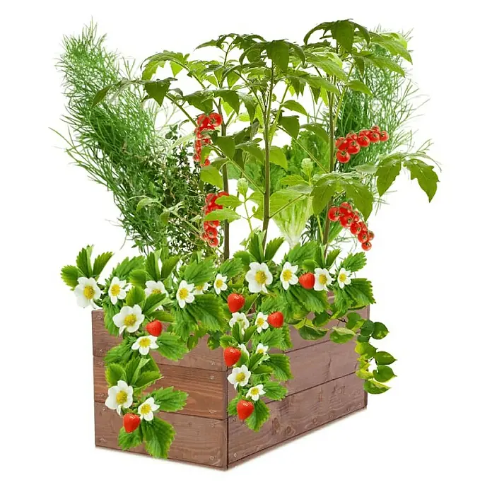 Proregal Hochbeet Growline Holz - 30 x 83 x 27 cm, Holz, Braun