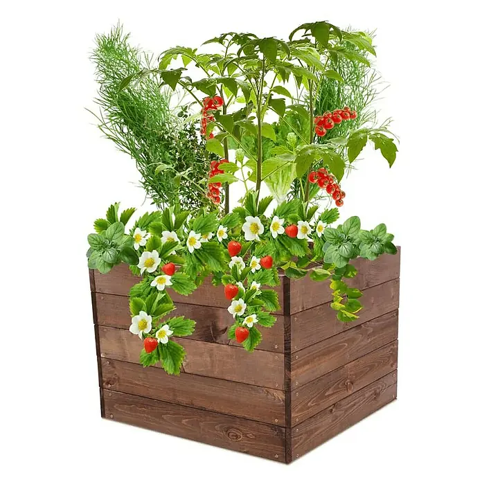 Proregal Hochbeet Growline Holz - 80 x 83 x 45 cm, Holz, Braun