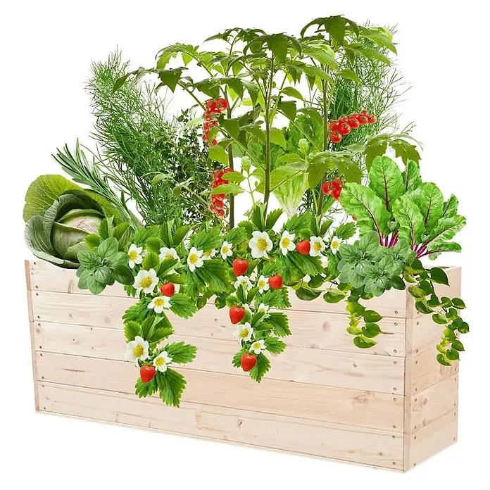 Proregal Hochbeet Growline Holz - 30 x 120 x 45 cm, Holz, Natur