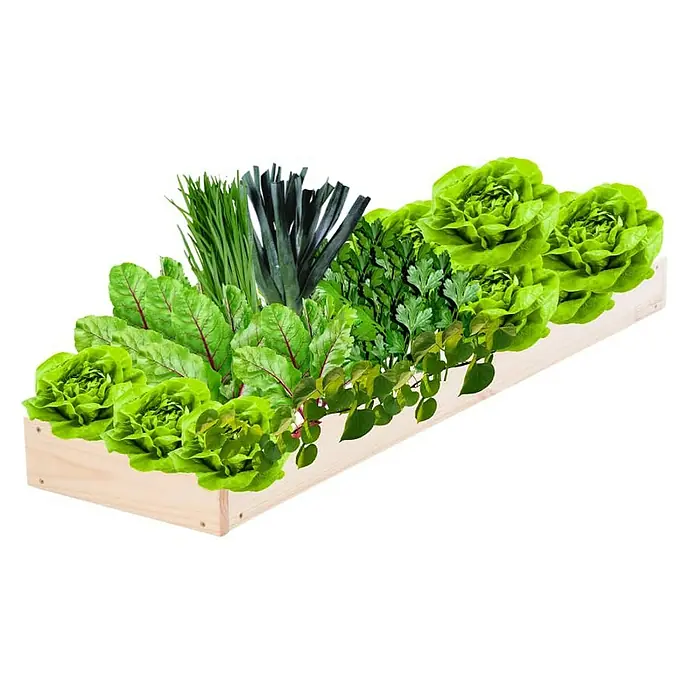 Proregal Hochbeet GardenStep Holz - 100 x 30 x 9 cm, Holz, Natur