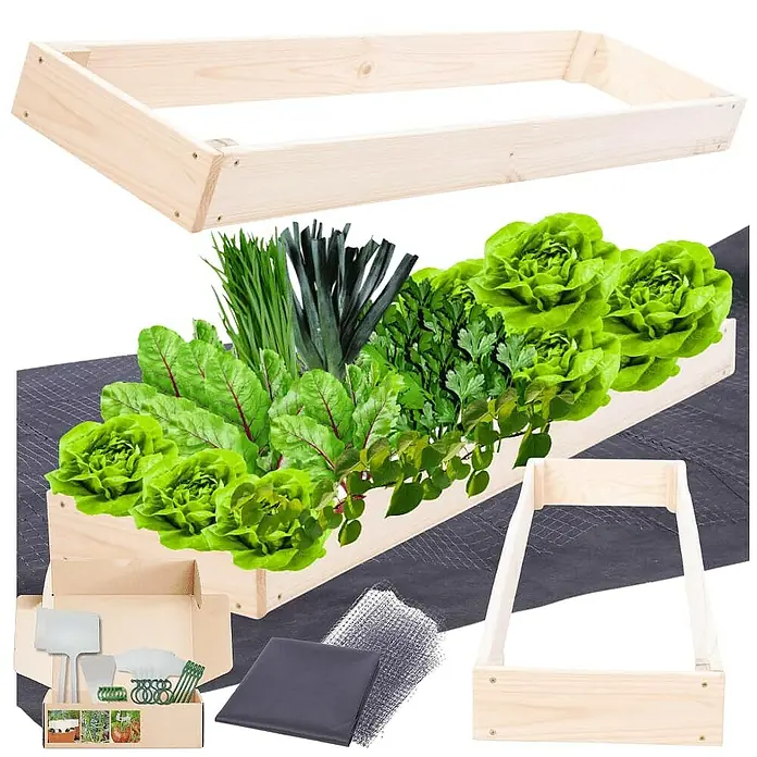 Proregal Hochbeet GardenStep Holz - 100 x 30 x 9 cm, Holz, Natur