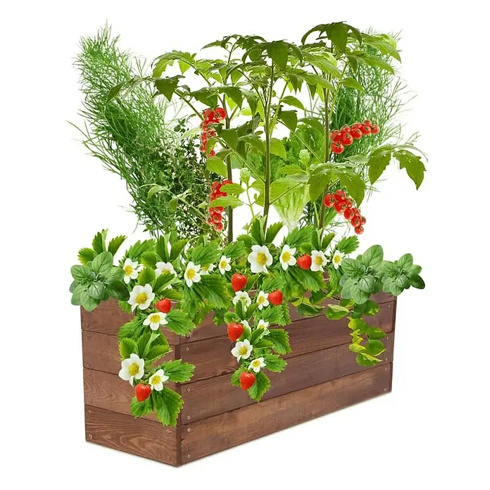 Proregal Hochbeet Growline Holz - 30 x 93 x 36 cm, Holz, Braun