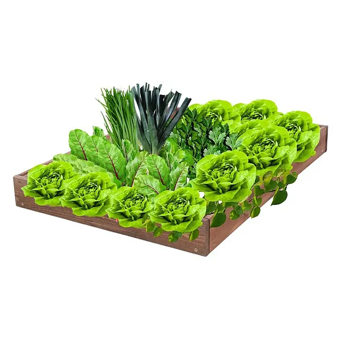 Proregal Hochbeet GardenStep Holz - Holz, Braun