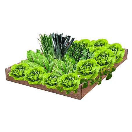 Proregal  Hochbeet GardenStep Holz