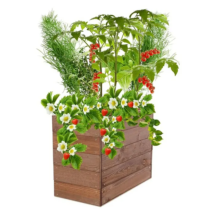 Proregal Hochbeet Growline Holz - 30 x 63 x 45 cm, Holz, Braun