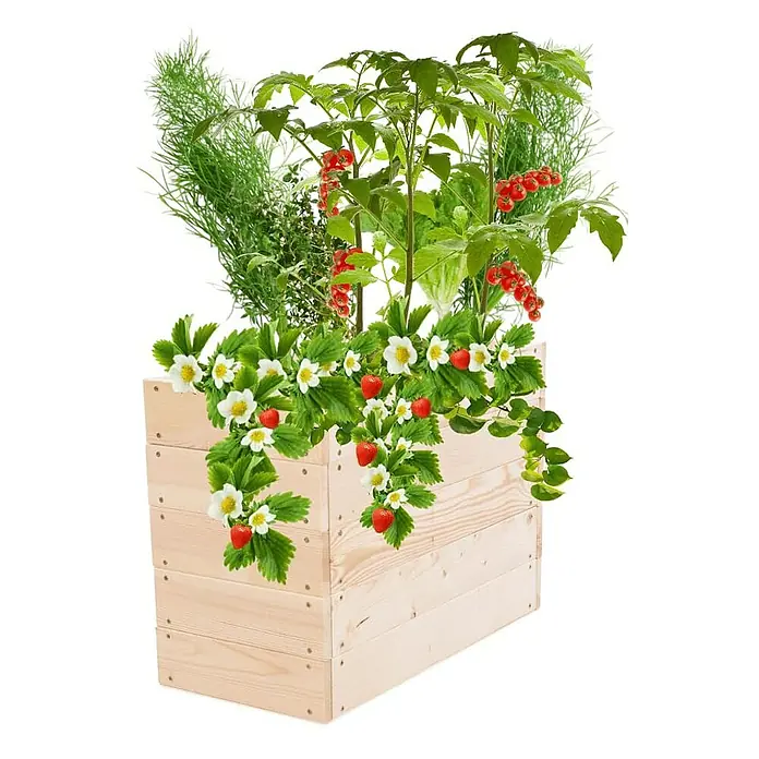Proregal Hochbeet Growline Holz - 30 x 63 x 45 cm, Holz, Natur