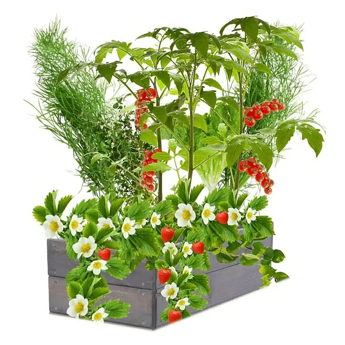 Proregal Hochbeet Growline Holz - 30 x 93 x 18 cm, Holz, Grau