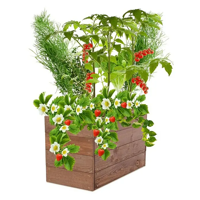 Proregal Hochbeet Growline Holz - 30 x 63 x 36 cm, Holz, Braun