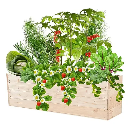 Proregal  Hochbeet Growline Holz