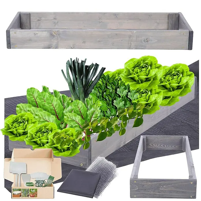 Proregal Hochbeet GardenStep Holz - 60 x 30 x 9 cm, Holz, Grau