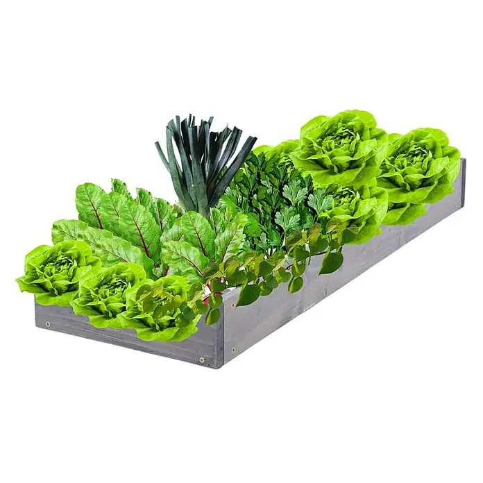 Proregal Hochbeet GardenStep Holz - 60 x 30 x 9 cm, Holz, Grau