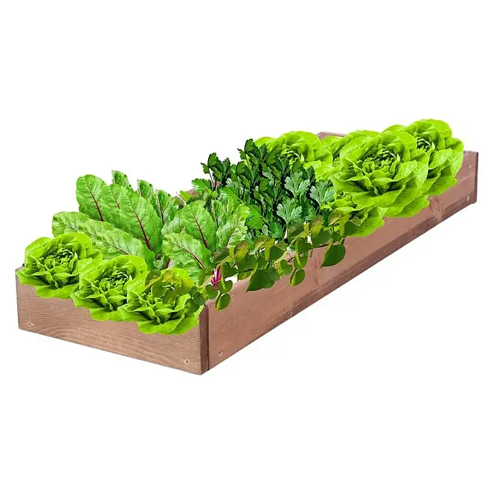 Proregal Hochbeet GardenStep Holz - Holz, Braun