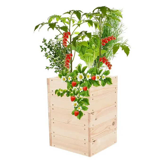 Proregal Hochbeet Growline Holz - 30 x 33 x 45 cm, Holz, Natur