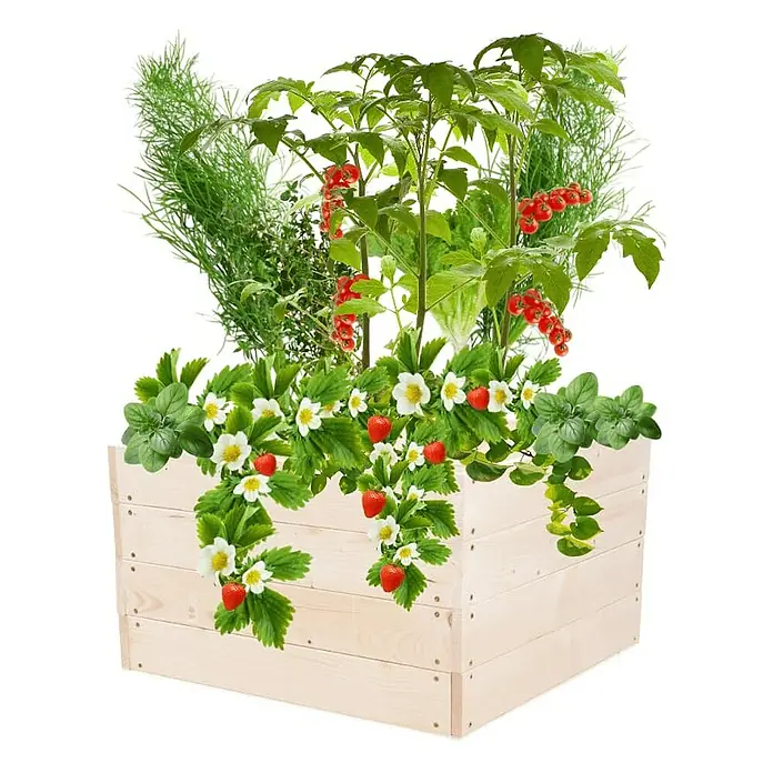 Proregal Hochbeet Growline Holz - 80 x 83 x 36 cm, Holz, Imprägniert