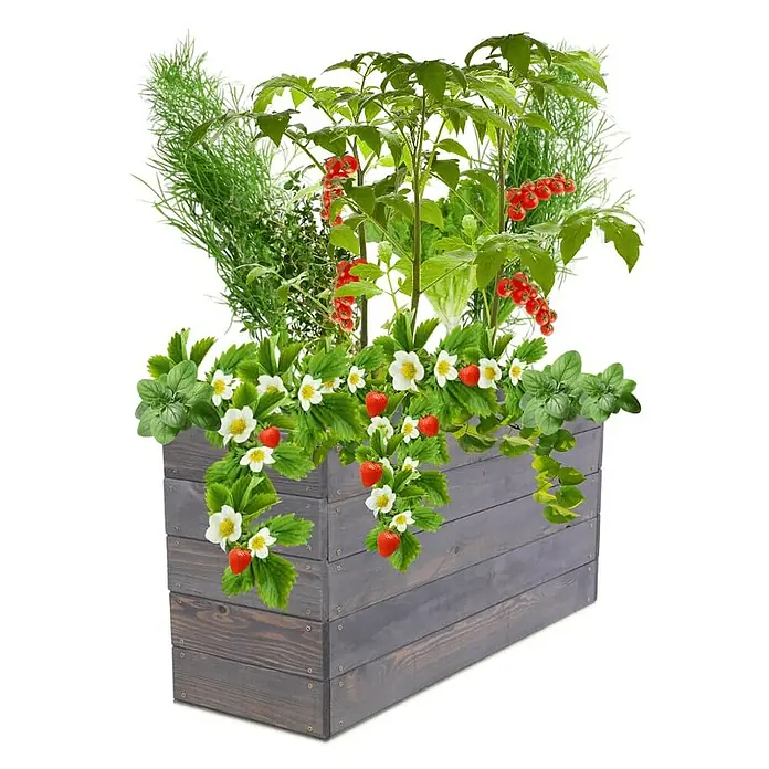 Proregal Hochbeet Growline Holz - 30 x 103 x 45 cm, Holz, Grau