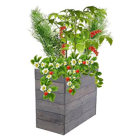 Proregal  Hochbeet Growline Holz