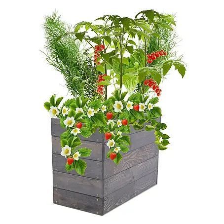 Proregal  Hochbeet Growline Holz