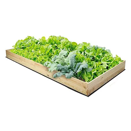 Proregal  Hochbeet Growline Holz