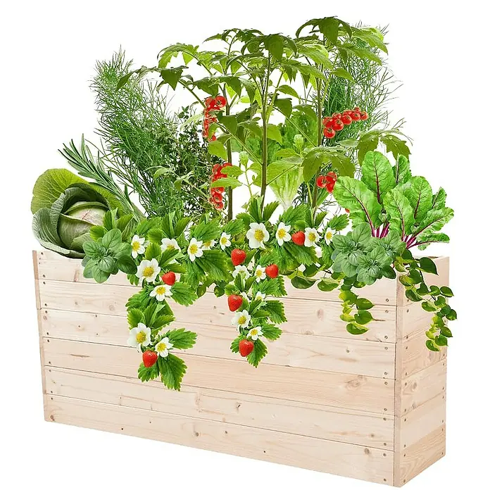 Proregal Hochbeet Growline Holz - 30 x 120 x 54 cm, Holz, Natur