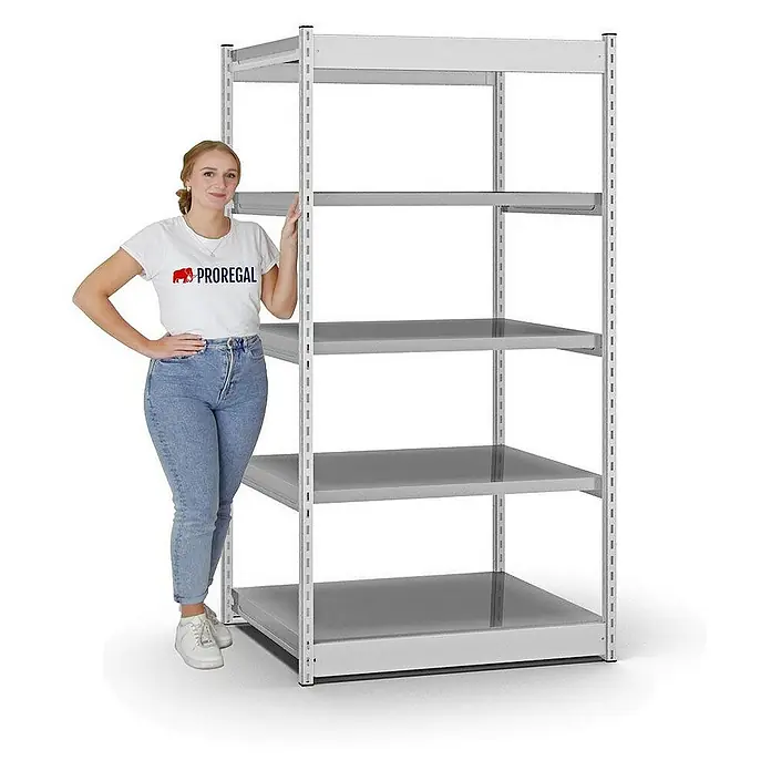 Proregal Schwerlastregal MAGNUS Vierkant-Profil Stecksystem - H x B x T: 200 x 102,5 x 80 cm, Traglast pro Boden: 200 kg, Anzahl Böden: 5 Stk., Stecken, Lichtgrau/Verzinkt