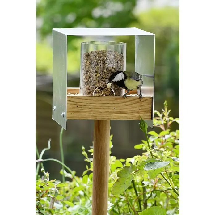 Dobar Vogelhaus BAUHAUS II - 15 x 16 x 161 cm, Natur, Holz - Ein modernes Vogelhaus mit einem durchsichtigen Behälter voller Körner, an dem ein Meisen sitzt und frisst.