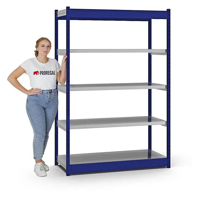 Proregal Schwerlastregal MAGNUS Vierkant-Profil Stecksystem - H x B x T: 200 x 132,5 x 50 cm, Traglast pro Boden: 200 kg, Anzahl Böden: 5 Stk., Stecken, Enzianblau/Verzinkt