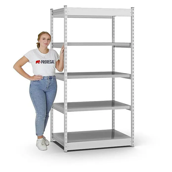 Proregal Schwerlastregal MAGNUS Vierkant-Profil Stecksystem - H x B x T: 200 x 102,5 x 60 cm, Traglast pro Boden: 200 kg, Anzahl Böden: 5 Stk., Stecken, Lichtgrau/Verzinkt