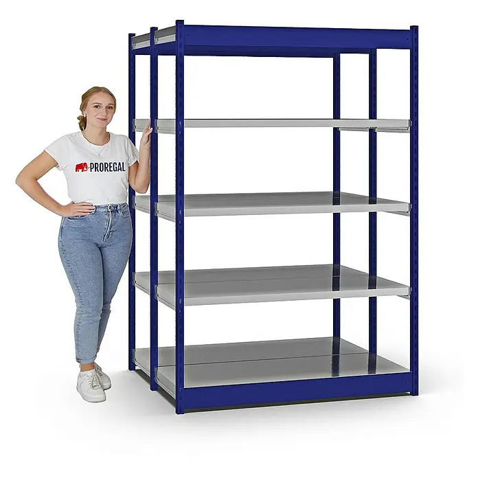 Proregal Schwerlastregal MAGNUS Vierkant-Profil Stecksystem - H x B x T: 200 x 132,5 x 50 cm, Traglast pro Boden: 200 kg, Anzahl Böden: 10 Stk., Stecken, Enzianblau/Verzinkt